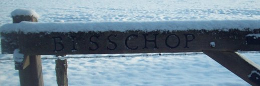 erve bisschop